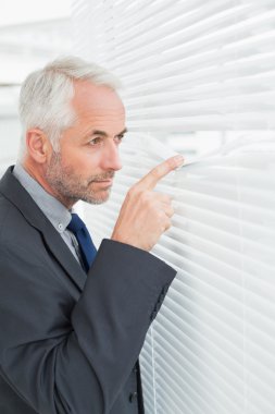 ofiste bakmak ciddi olgun işadamı