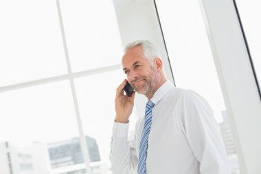 Olgun işadamı cep telefonu kullanma office gülümseyen
