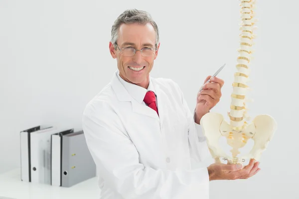 Sonriente médico sosteniendo esqueleto modelo en la oficina — Foto de Stock