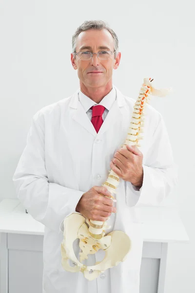 Male doctor holding skeleton model in office — Stock Photo, Image