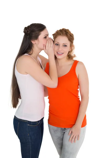 Two young female friends gossiping — Stock Photo, Image