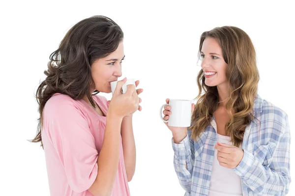 Amigos do sexo feminino conversando enquanto bebe café — Fotografia de Stock