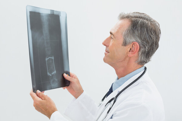 Concentrated male doctor looking at x-ray