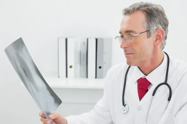 Doctor mirando la imagen de rayos X de los pulmones en el consultorio —  Fotos de Stock