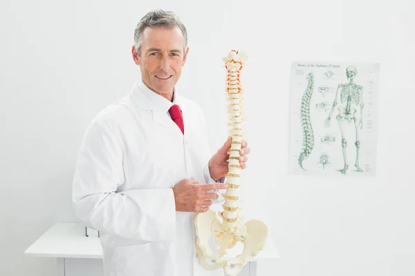 Doctor holding skeleton model in office — Stock Photo, Image