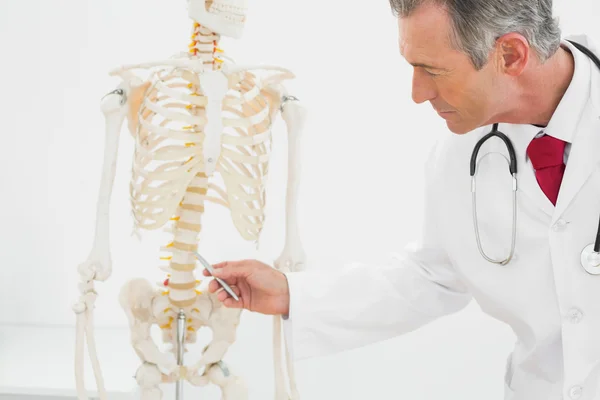 Medico fiducioso che spiega la colonna vertebrale in ufficio — Foto Stock