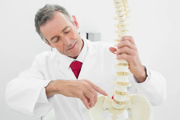 Médico varón sonriente explicando la columna vertebral en el consultorio — Foto de Stock