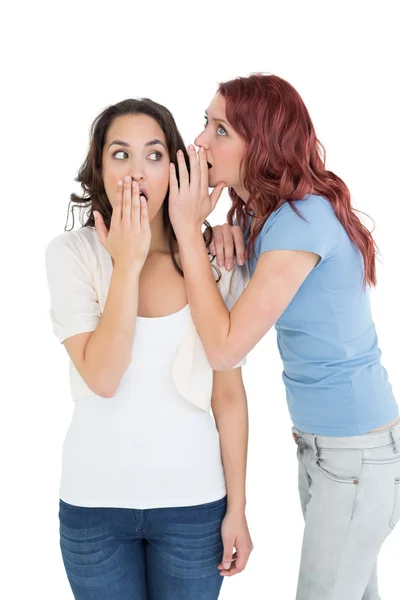 Two young female friends gossiping — Stock Photo, Image