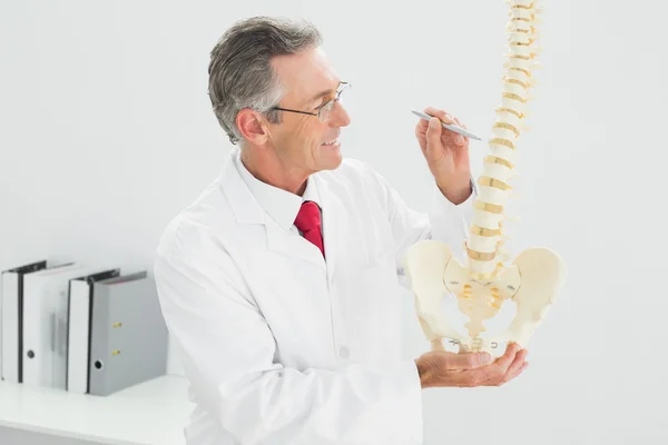 Smiling doctor holding skeleton model in office — Stock Photo, Image