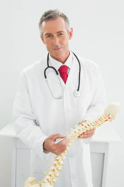 Usmívající se doktor drží kostry modelu v úřadu — Stock fotografie