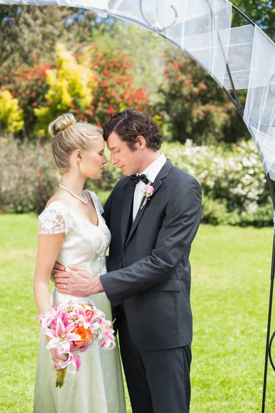 Atractivos recién casados tocando caras —  Fotos de Stock