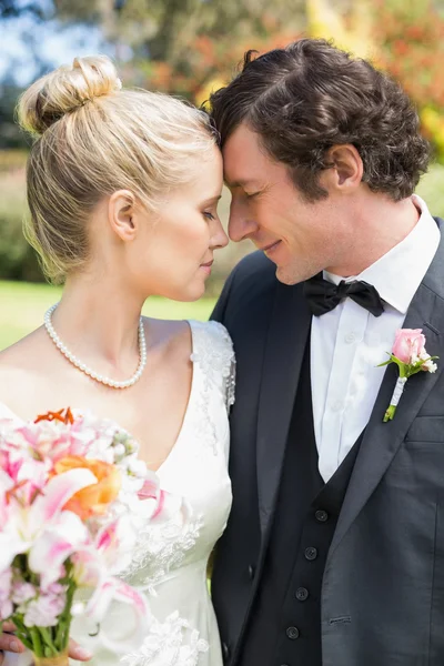 Attractive newlyweds touching faces — Stock Photo, Image