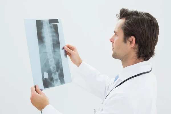 Médico masculino concentrado examinando radiografía de columna vertebral —  Fotos de Stock