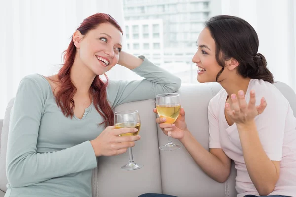Şarap gözlük evde sohbet bayan arkadaş — Stok fotoğraf