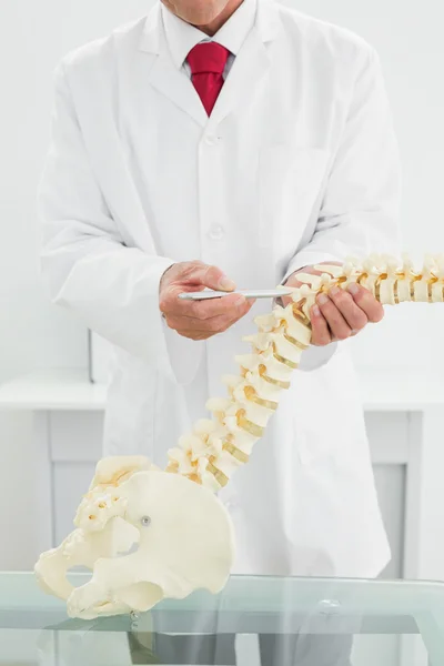 Male doctor with skeleton model — Stock Photo, Image