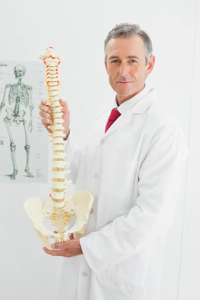 Confident doctor holding skeleton model in office — Stock Photo, Image