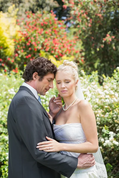 Romantisch lächelnde Brautleute, die sich umarmen — Stockfoto