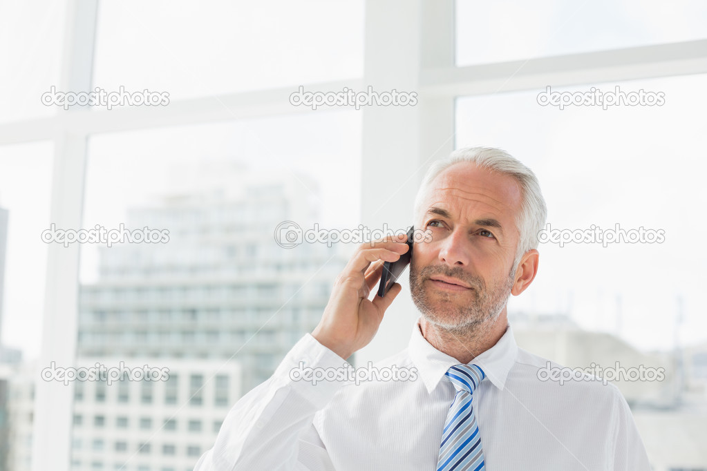 Mature businessman using mobile phone in office