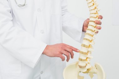 erkek bir doktor iskelet modeli ile orta kısmında