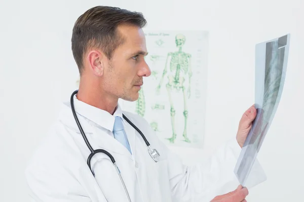 Médico masculino concentrado mirando la radiografía de columna vertebral — Foto de Stock