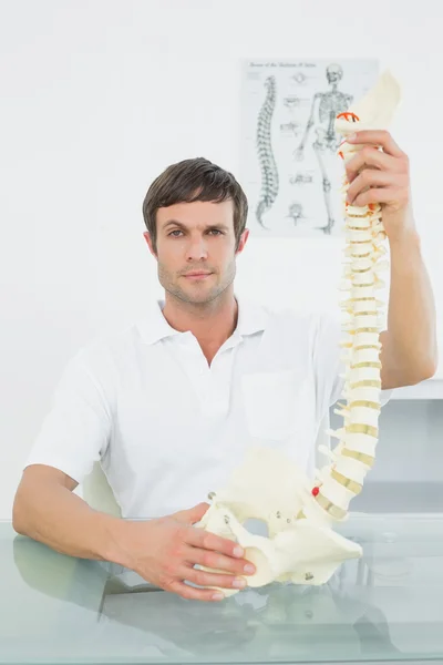 Confident male doctor holding skeleton model — Stock Photo, Image