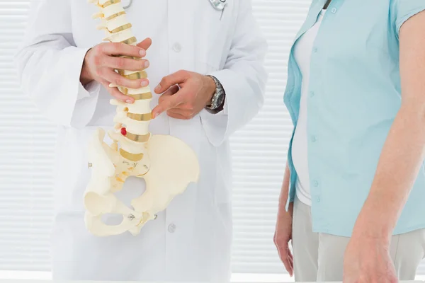 Mid section of a doctor explaining the spine to patient — Stock Photo, Image