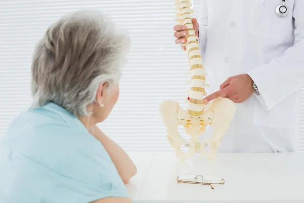 Médico masculino explicando a coluna vertebral a um paciente sênior — Fotografia de Stock