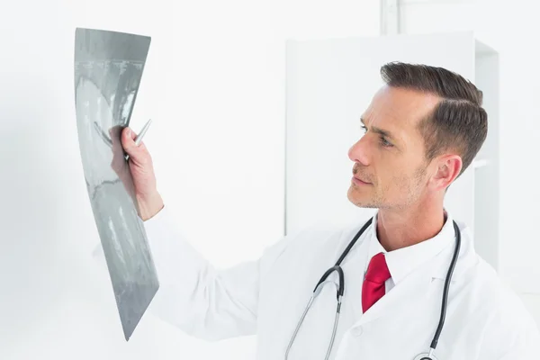 Koncentratu mężczyzna lekarza przeprowadzającego badanie rentgenowskie — Zdjęcie stockowe