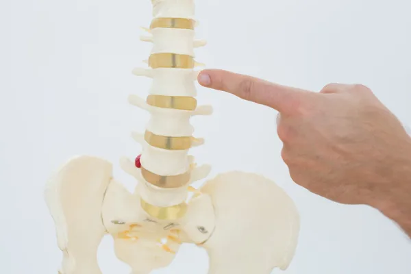 Extreme close-up of a finger pointing at skeleton model — Stock Photo, Image