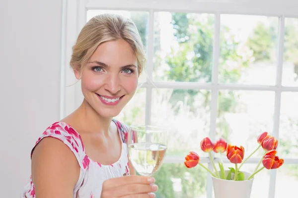 Retrato de uma jovem mulher feliz com copo de vinho — Fotografia de Stock