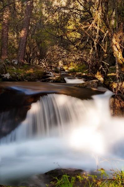 Vattenfall i djupa skogen — Stockfoto