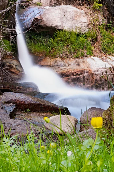 Bloemen in de waterval - verticale — Stockfoto