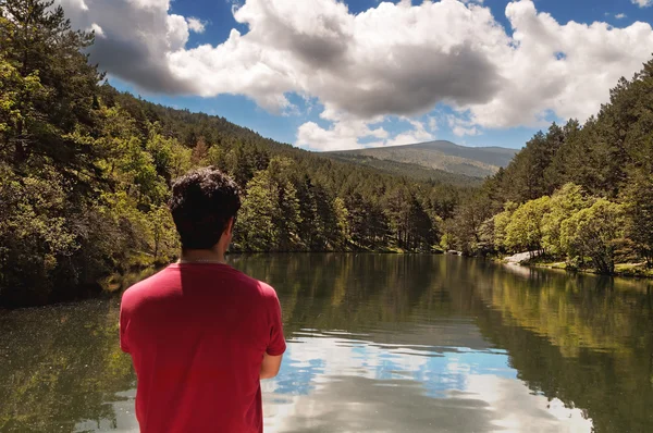 Homem de volta observa a paisagem refletida no lago calmo — Fotografia de Stock