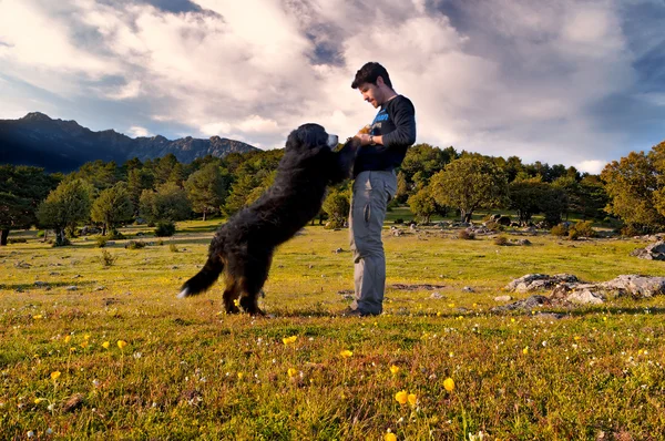 Joven niño entrenar a su perro en el campo una tarde soleada primavera — Foto de Stock