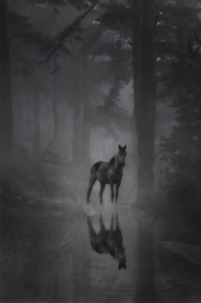Black horse in the fog — Stock Photo, Image