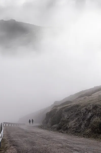 Kobiety spacer gęsta mgła — Zdjęcie stockowe
