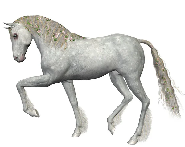 Белая лошадь на белом фоне — стоковое фото