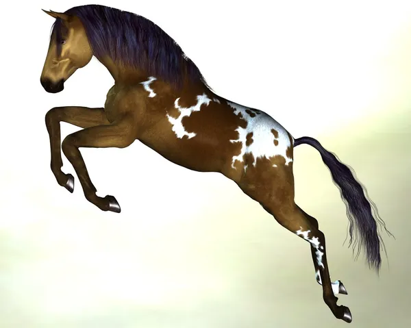 Конь темно-коричневый — стоковое фото