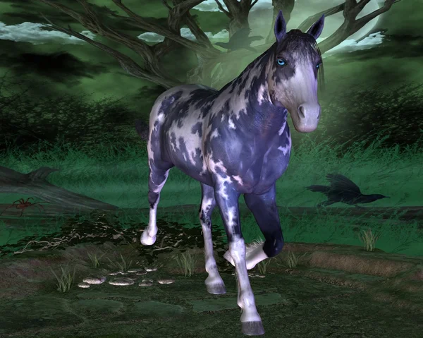 mavi gözlü mavi at