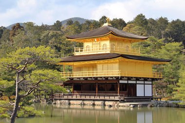 Japon yaşlı temple Bahçe