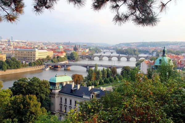 Rote Dächer Prag, Tschechische Republik — Stockfoto