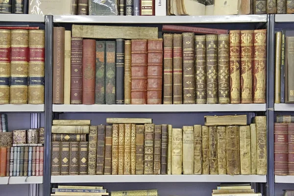 Könyvek és Bookshelfs — Stock Fotó