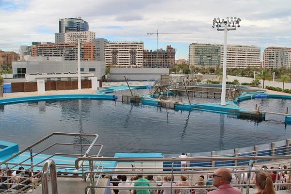 Oceanographic Parc, Valência — Fotografia de Stock