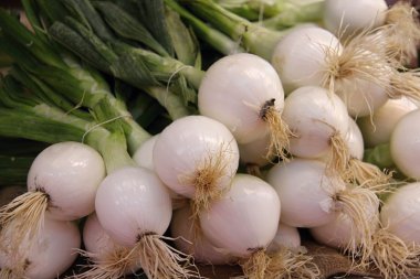 City market ürünleri