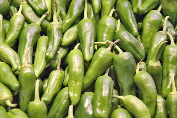 City market ürünleri
