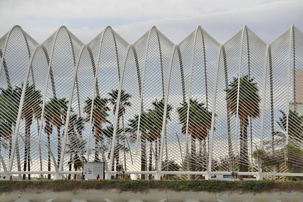 Center of Science of Art, Valencia, Spain — Stock Photo, Image