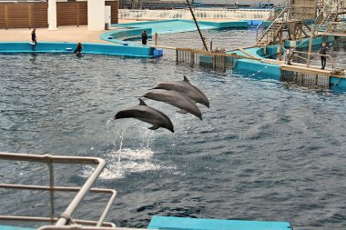 oşinografik parc, valencia