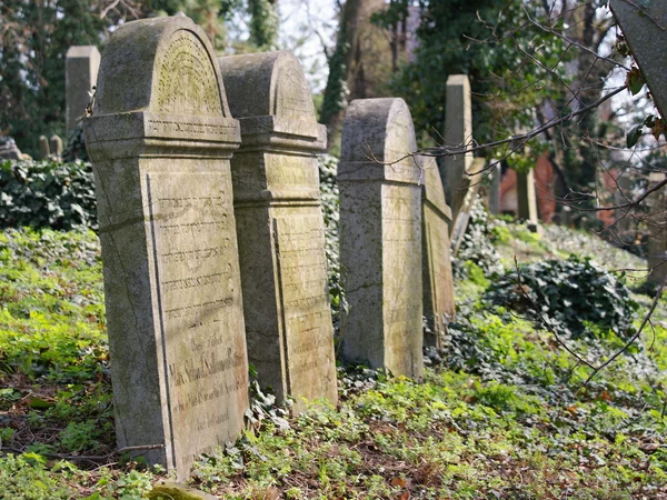 ミクロフ田舎とユダヤ人 cementary — ストック写真