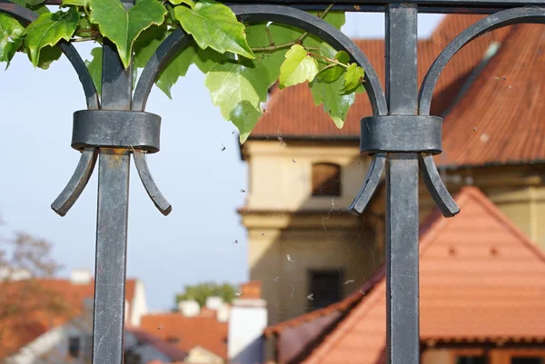 Castello di Praga e i suoi giardini — Foto Stock