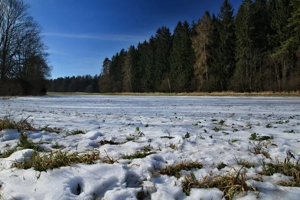 paysage d'hiver enneigé